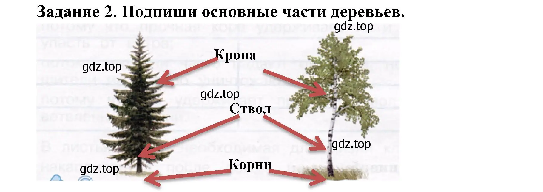 Решение номер 2 (страница 53) гдз по окружающему миру 4 класс Вахрушев, Зорин, рабочая тетрадь 1 часть