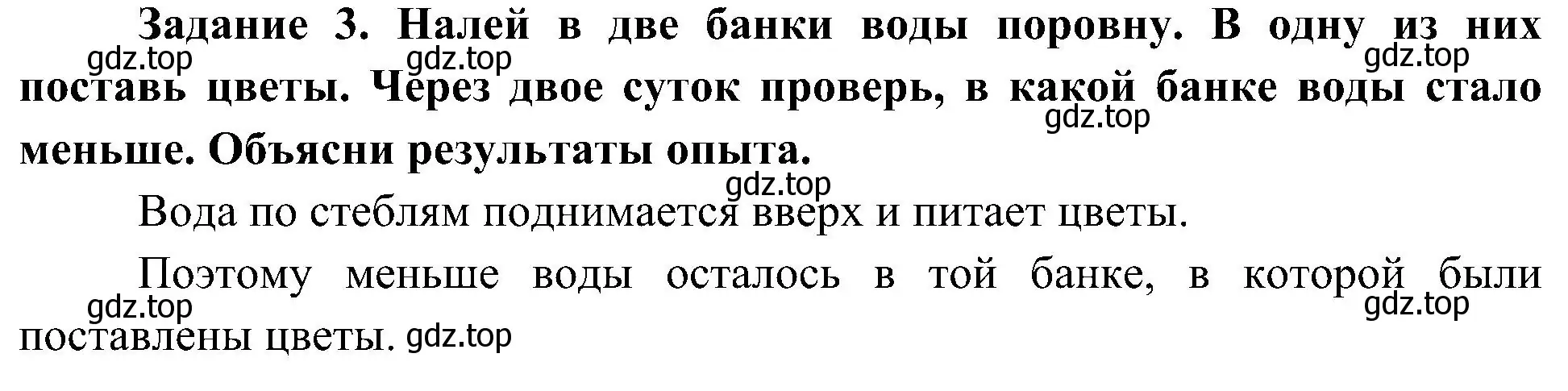 Решение номер 3 (страница 53) гдз по окружающему миру 4 класс Вахрушев, Зорин, рабочая тетрадь 1 часть