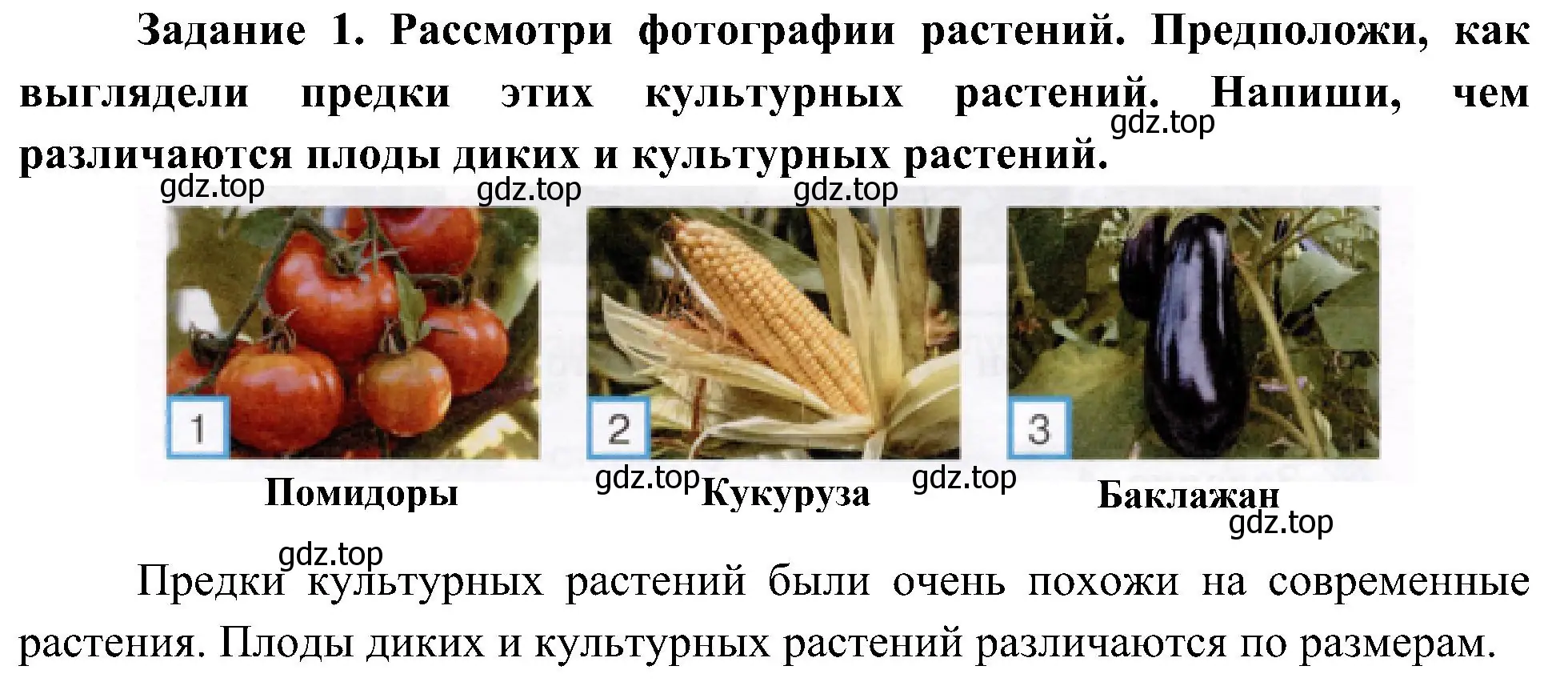 Решение номер 1 (страница 57) гдз по окружающему миру 4 класс Вахрушев, Зорин, рабочая тетрадь 1 часть