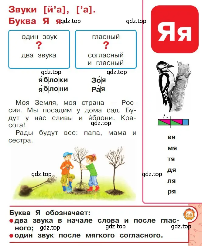 Условие  111 (страница 111) гдз по русскому языку 1 класс Горецкий, Кирюшкин, учебник 1 часть