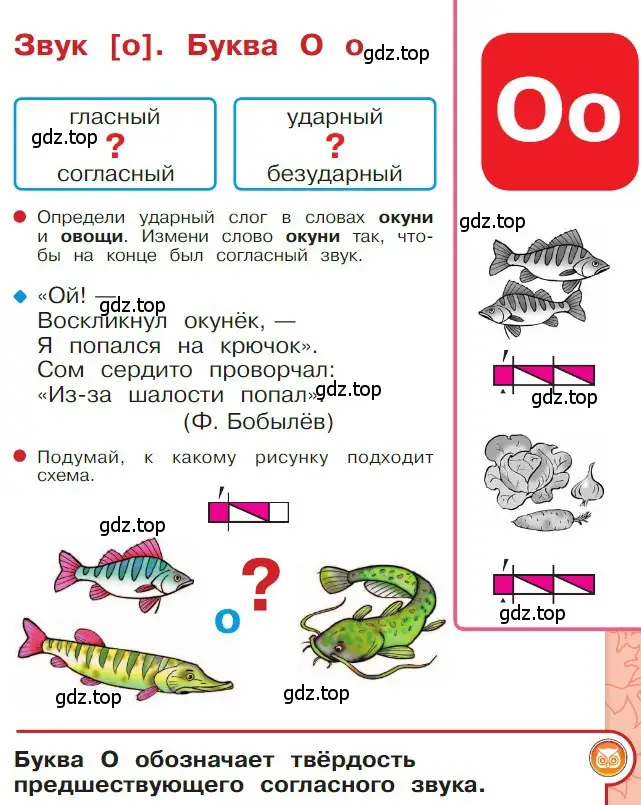 Условие  25 (страница 25) гдз по русскому языку 1 класс Горецкий, Кирюшкин, учебник 1 часть