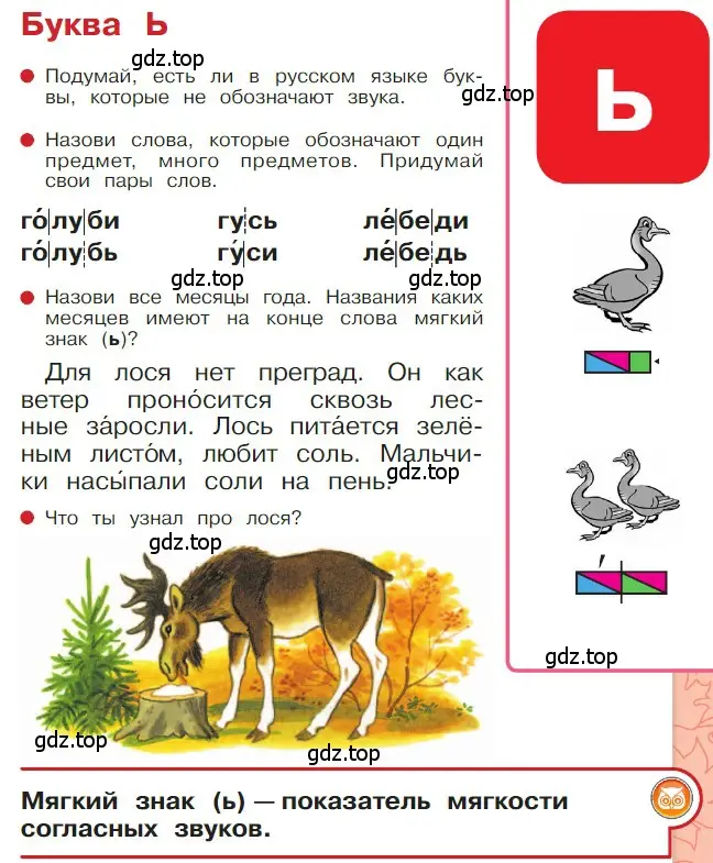 Условие  11 (страница 11) гдз по русскому языку 1 класс Горецкий, Кирюшкин, учебник 2 часть