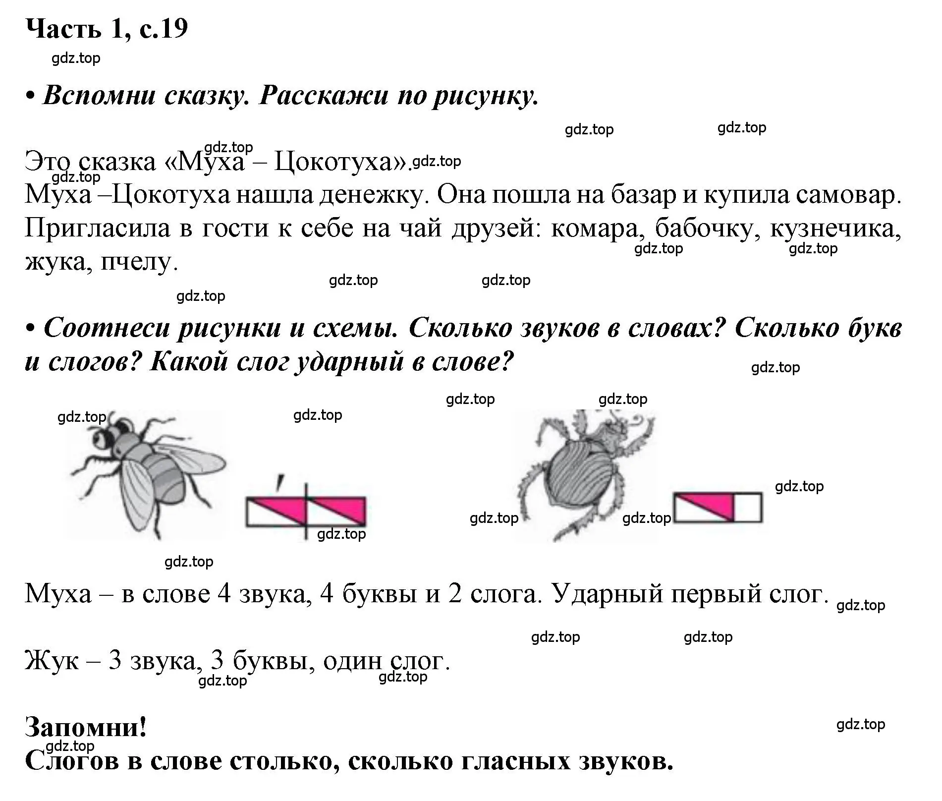 Решение  19 (страница 19) гдз по русскому языку 1 класс Горецкий, Кирюшкин, учебник 1 часть