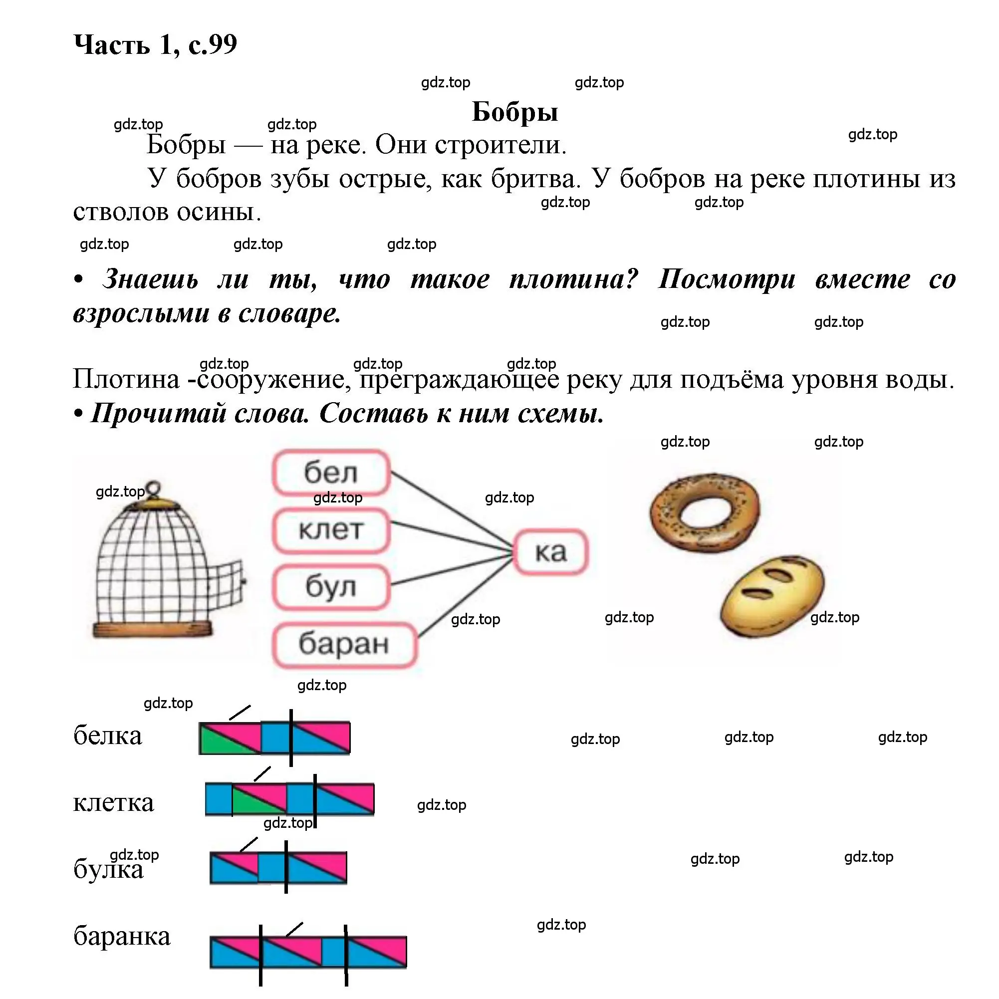 Решение  99 (страница 99) гдз по русскому языку 1 класс Горецкий, Кирюшкин, учебник 1 часть