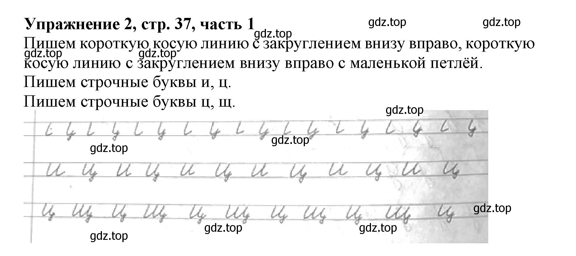 Решение номер 2 (страница 37) гдз по русскому языку 1 класс Иванов, Евдокимова, рабочая тетрадь 1 часть