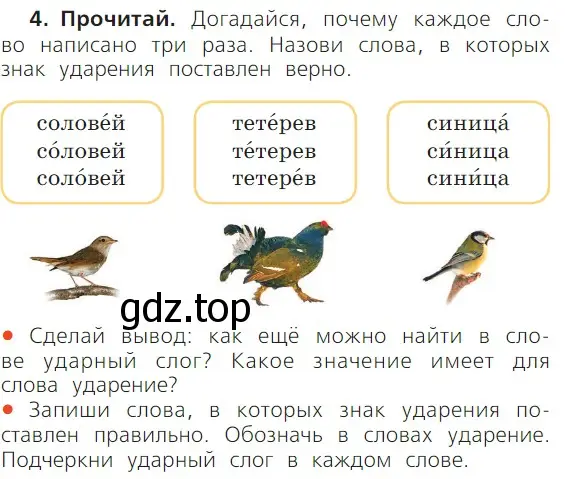 Условие номер 4 (страница 41) гдз по русскому языку 1 класс Канакина, Горецкий, учебник