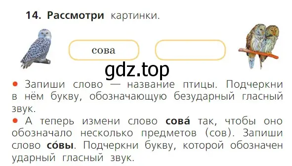 Условие номер 14 (страница 64) гдз по русскому языку 1 класс Канакина, Горецкий, учебник