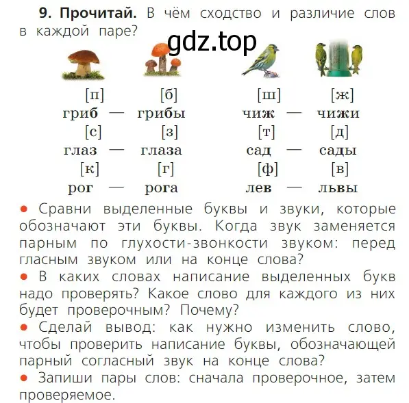 Условие номер 9 (страница 97) гдз по русскому языку 1 класс Канакина, Горецкий, учебник