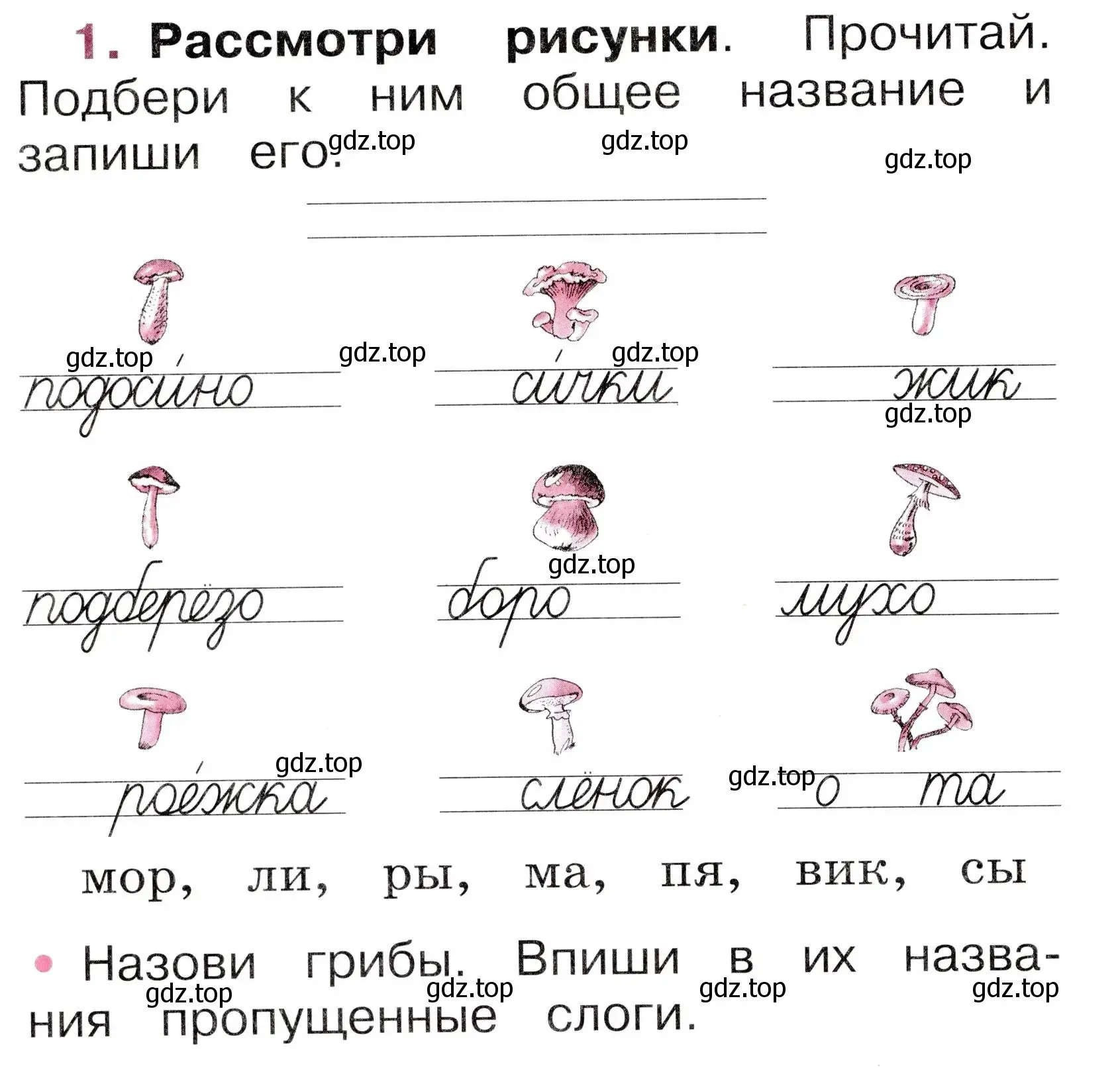 Условие номер 1 (страница 16) гдз по русскому языку 1 класс Канакина, рабочая тетрадь