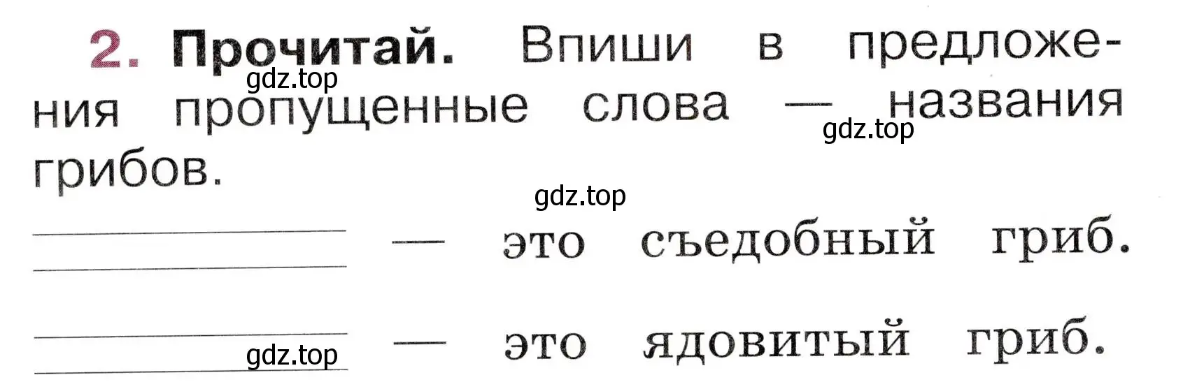 Условие номер 2 (страница 16) гдз по русскому языку 1 класс Канакина, рабочая тетрадь