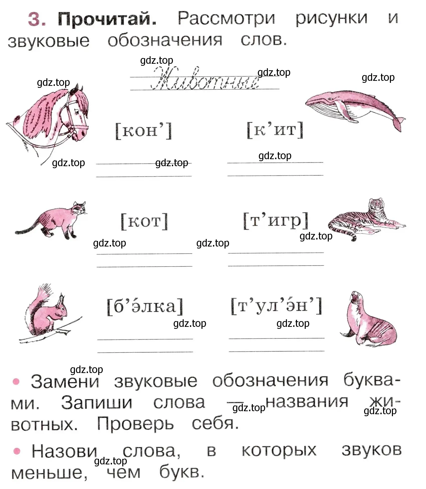 Условие номер 3 (страница 24) гдз по русскому языку 1 класс Канакина, рабочая тетрадь