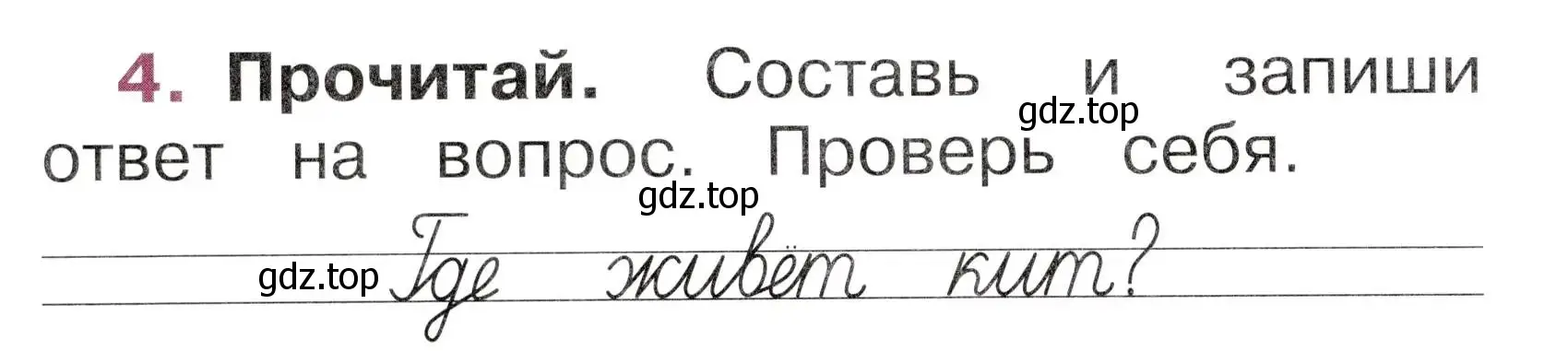 Условие номер 4 (страница 24) гдз по русскому языку 1 класс Канакина, рабочая тетрадь