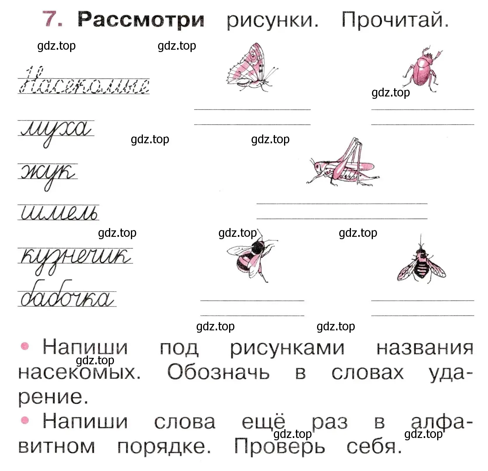 Условие номер 7 (страница 29) гдз по русскому языку 1 класс Канакина, рабочая тетрадь