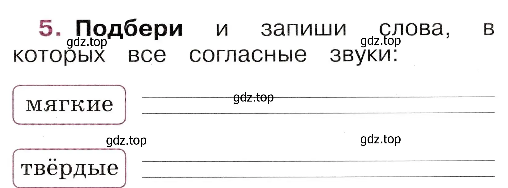 Условие номер 5 (страница 47) гдз по русскому языку 1 класс Канакина, рабочая тетрадь