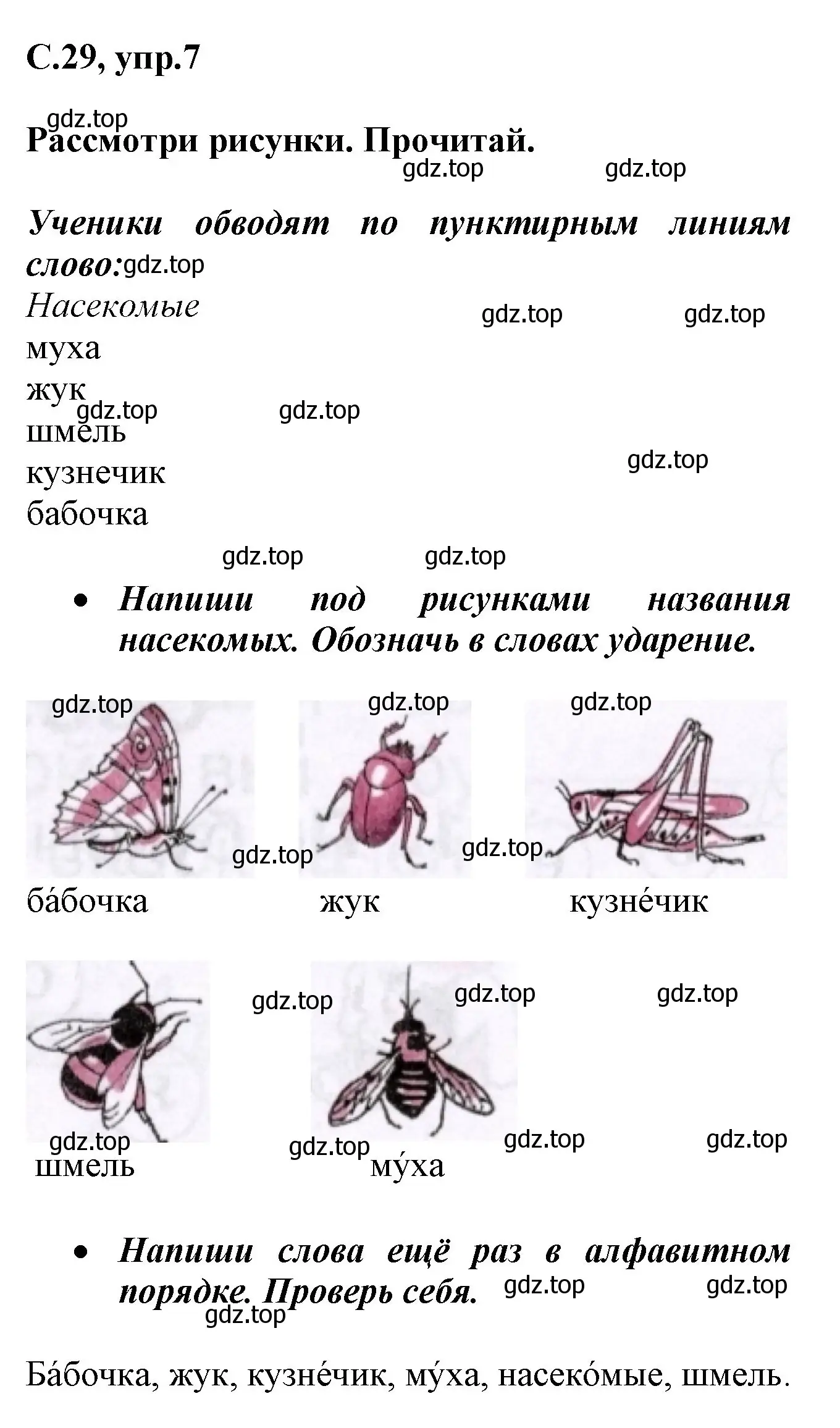 Решение номер 7 (страница 29) гдз по русскому языку 1 класс Канакина, рабочая тетрадь