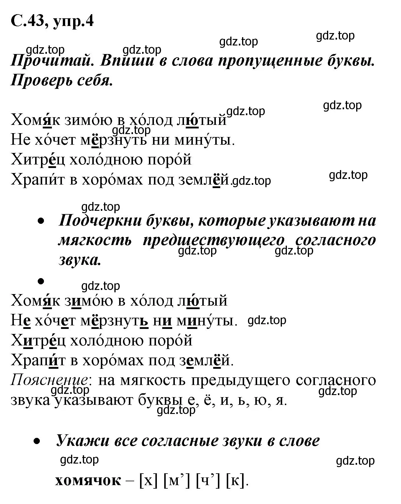 Решение номер 4 (страница 43) гдз по русскому языку 1 класс Канакина, рабочая тетрадь