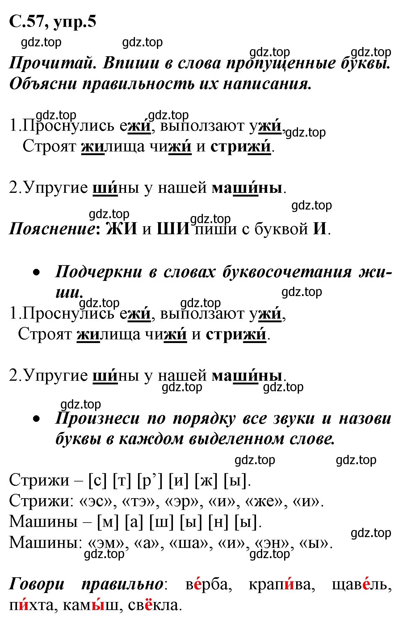 Решение номер 5 (страница 57) гдз по русскому языку 1 класс Канакина, рабочая тетрадь