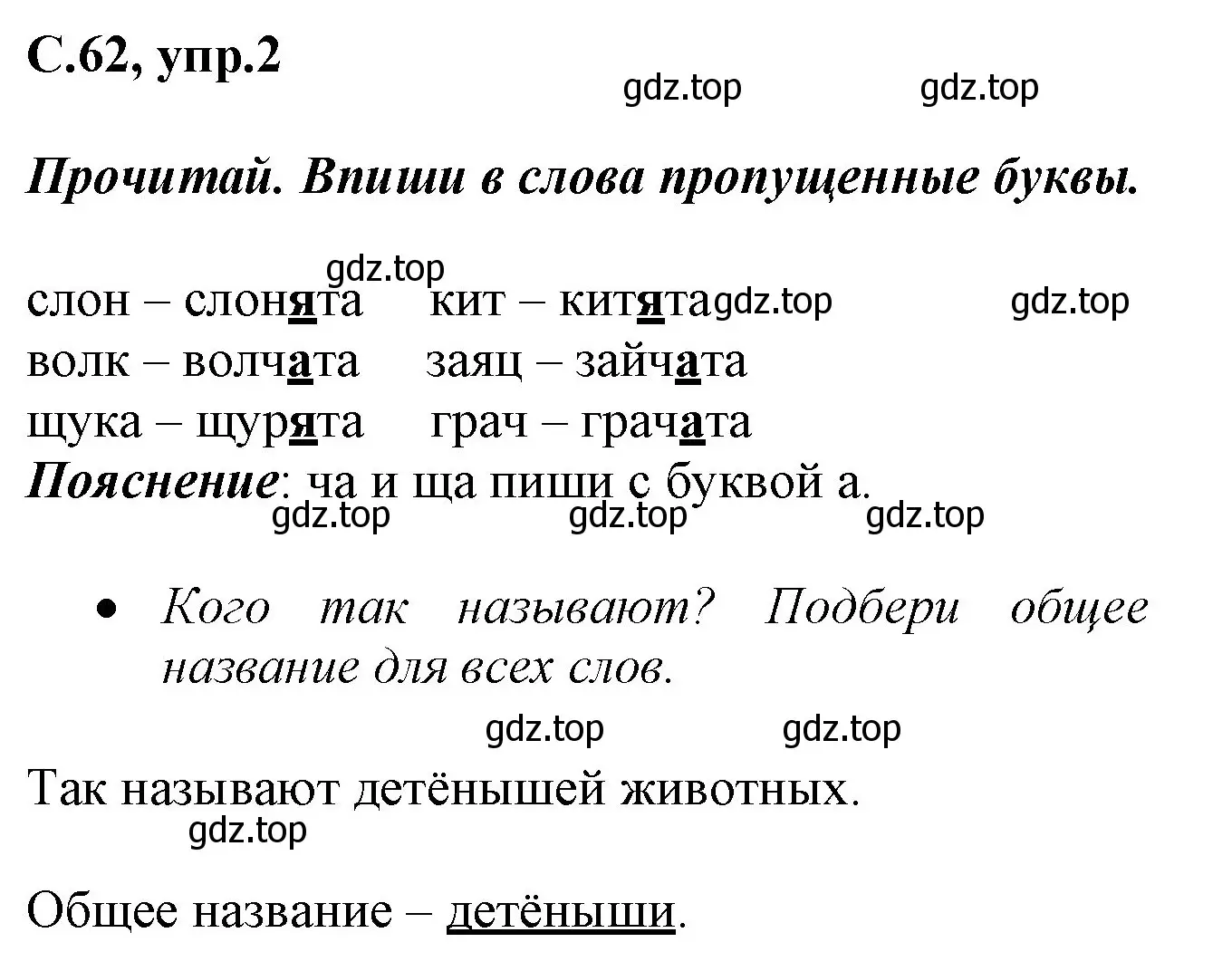 Решение номер 2 (страница 62) гдз по русскому языку 1 класс Канакина, рабочая тетрадь