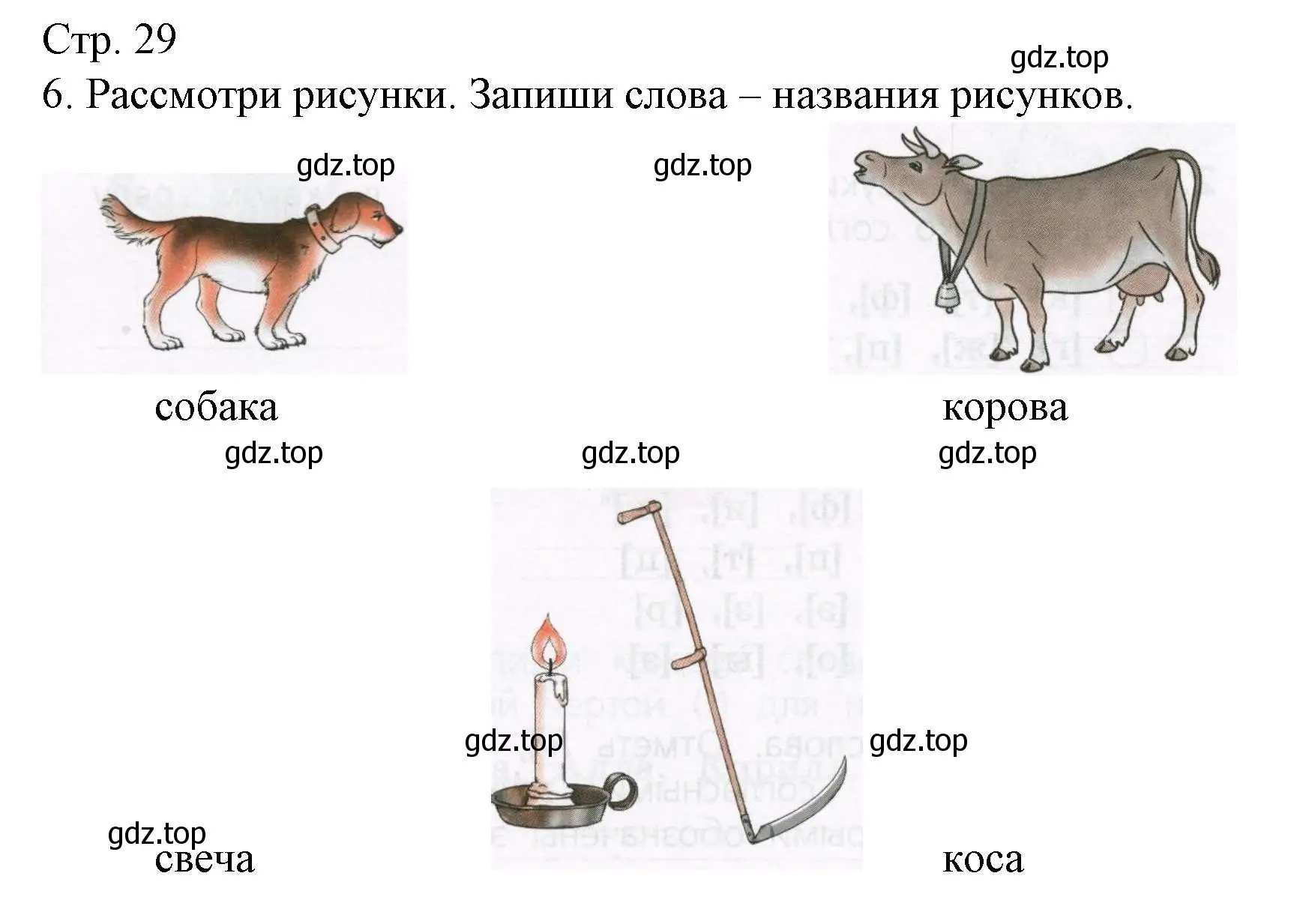 Решение номер 6 (страница 29) гдз по русскому языку 1 класс Канакина, тетрадь учебных достижений