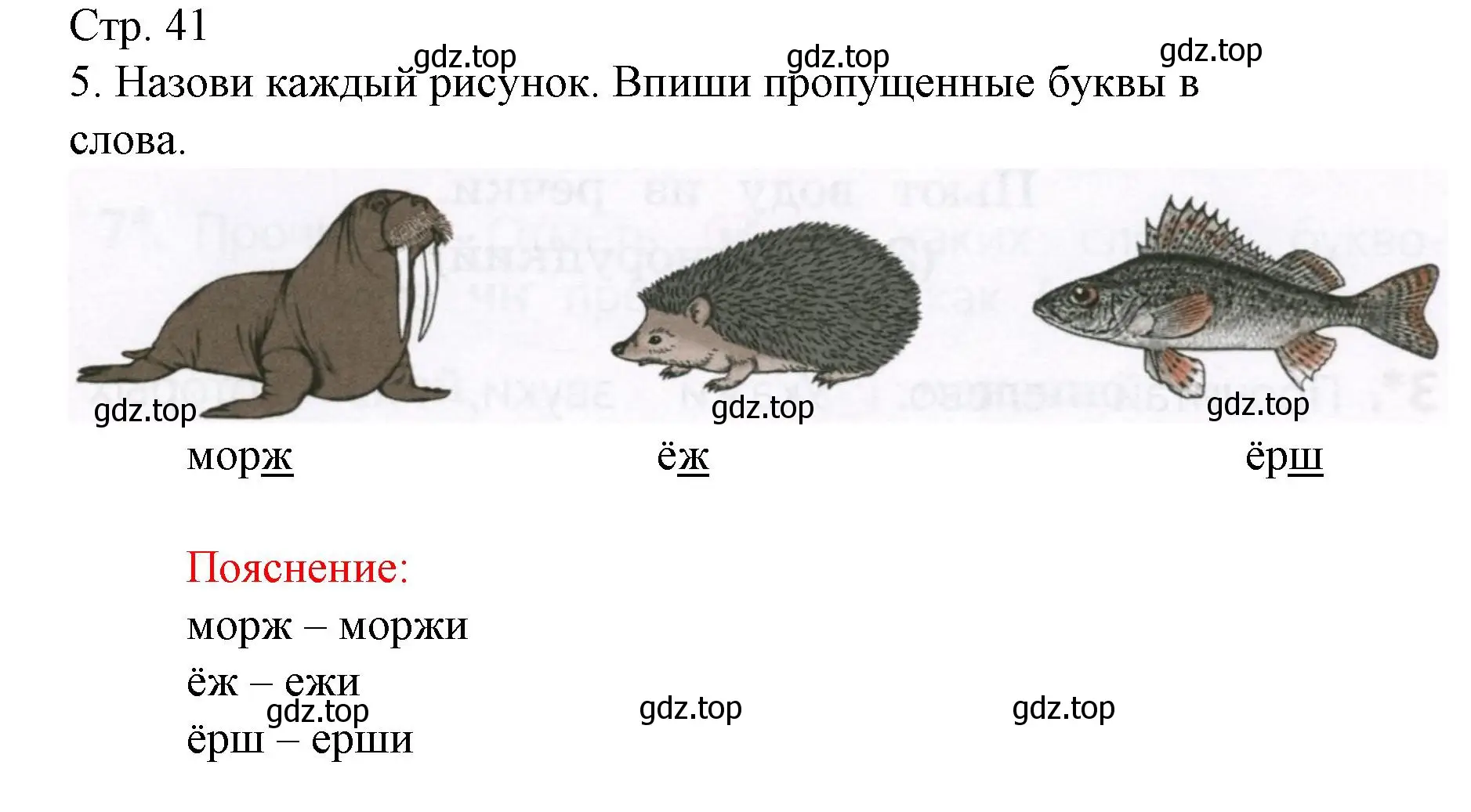 Решение номер 5 (страница 41) гдз по русскому языку 1 класс Канакина, тетрадь учебных достижений