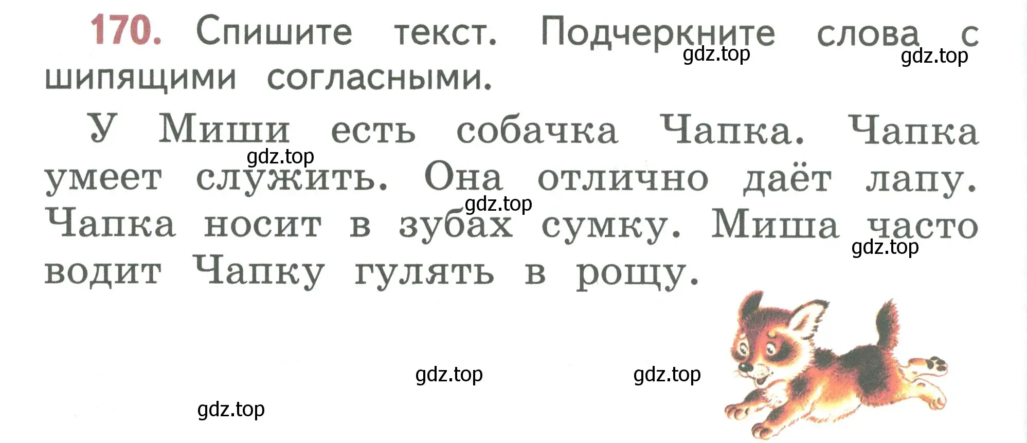 Условие номер 170 (страница 88) гдз по русскому языку 1 класс Климанова, Макеева, учебник