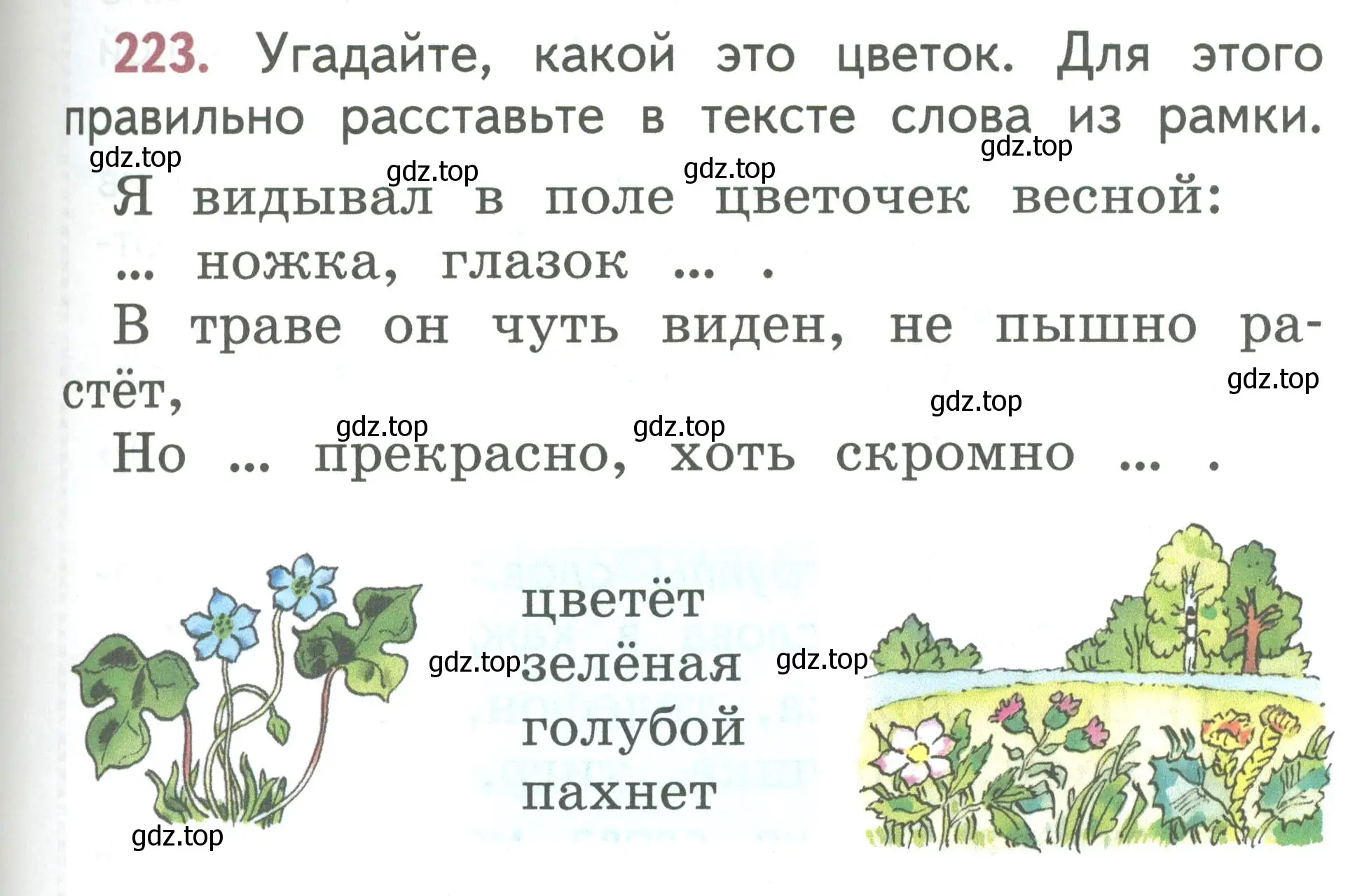 Условие номер 223 (страница 119) гдз по русскому языку 1 класс Климанова, Макеева, учебник