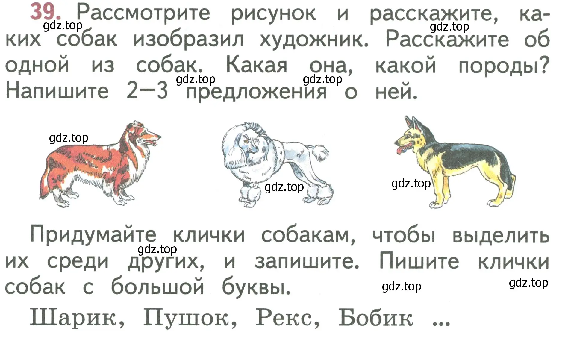 Условие номер 39 (страница 26) гдз по русскому языку 1 класс Климанова, Макеева, учебник