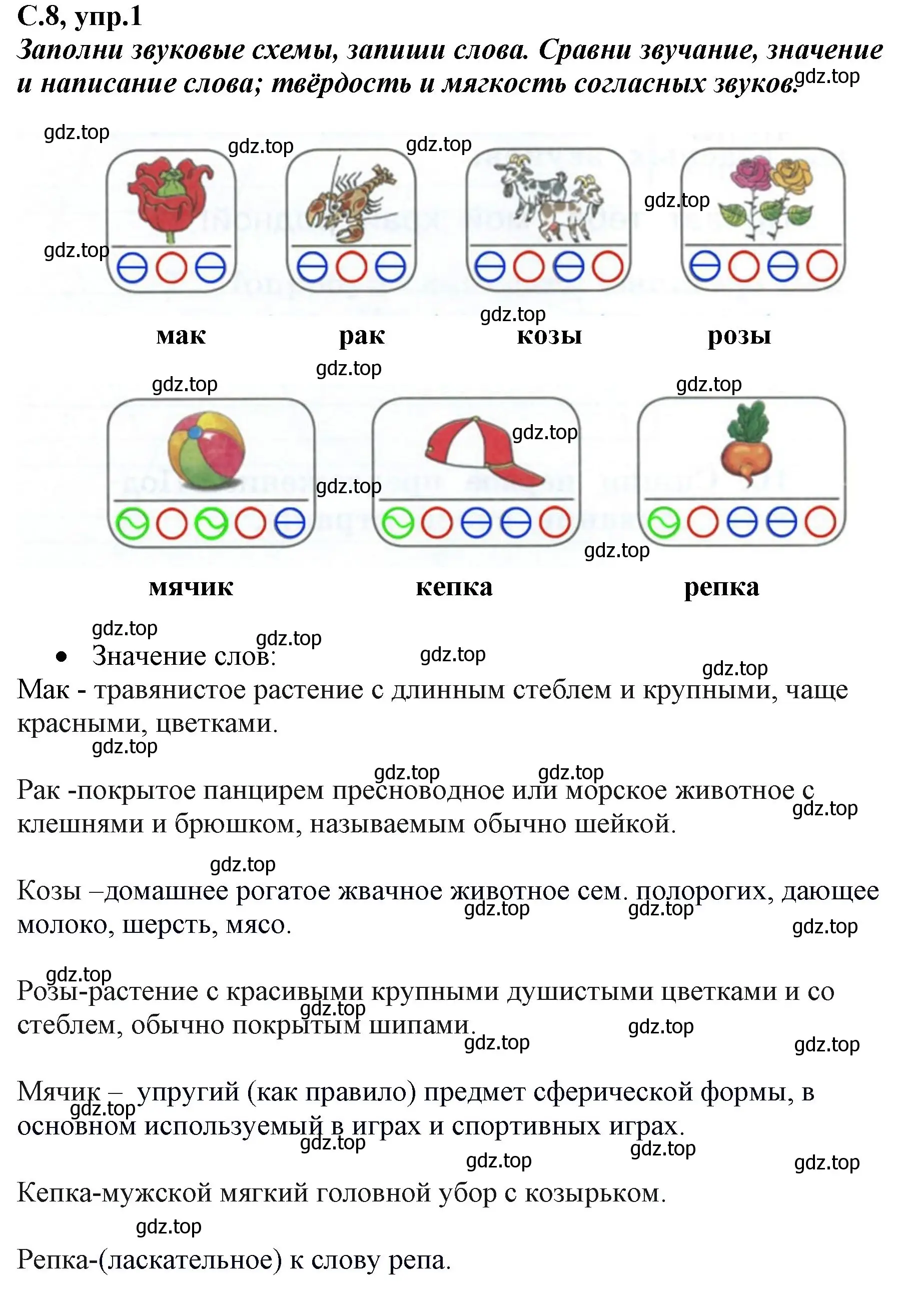 Решение номер 1 (страница 8) гдз по русскому языку 1 класс Климанова, Бабушкина, рабочая тетрадь