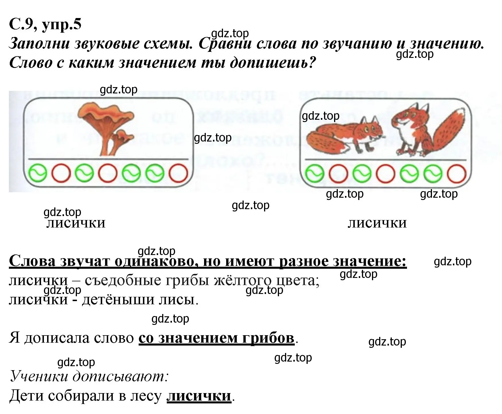 Решение номер 5 (страница 9) гдз по русскому языку 1 класс Климанова, Бабушкина, рабочая тетрадь