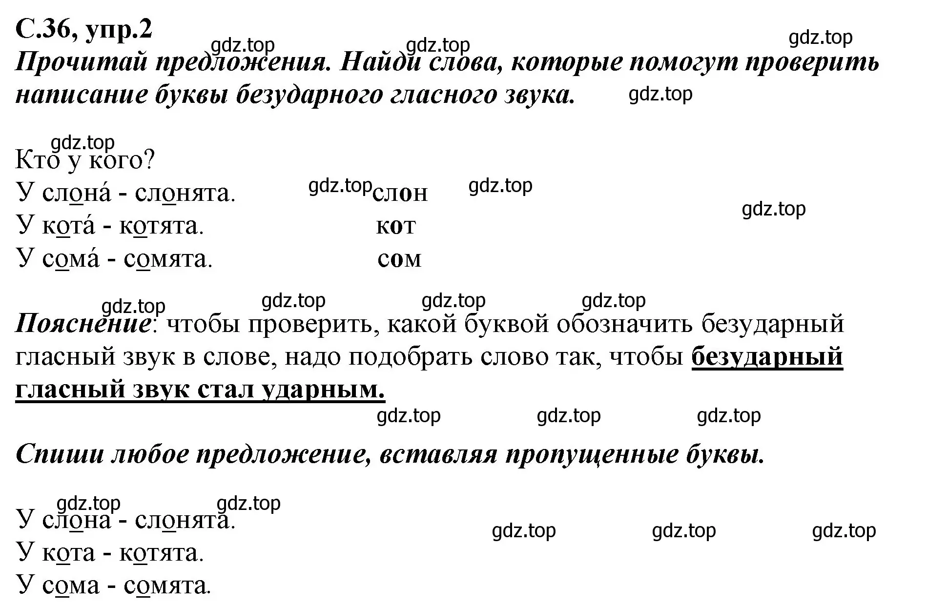 Решение номер 2 (страница 36) гдз по русскому языку 1 класс Климанова, Бабушкина, рабочая тетрадь