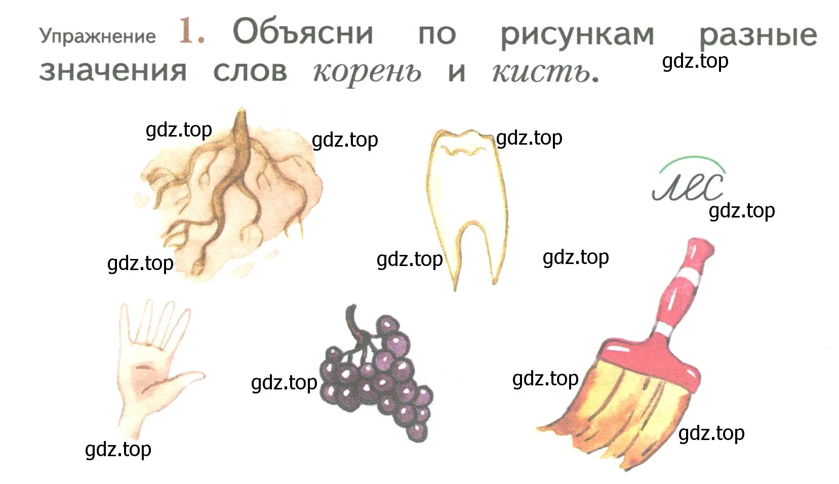 Условие номер 1 (страница 30) гдз по русскому языку 2 класс Иванов, Евдокимова, учебник 2 часть