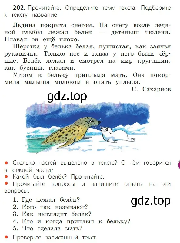 Условие номер 202 (страница 125) гдз по русскому языку 2 класс Канакина, Горецкий, учебник 1 часть