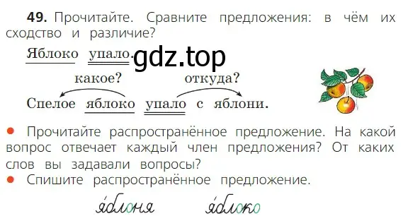 Условие номер 49 (страница 39) гдз по русскому языку 2 класс Канакина, Горецкий, учебник 1 часть