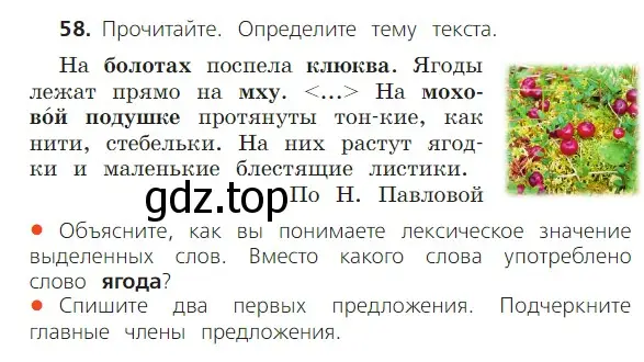 Условие номер 58 (страница 46) гдз по русскому языку 2 класс Канакина, Горецкий, учебник 1 часть