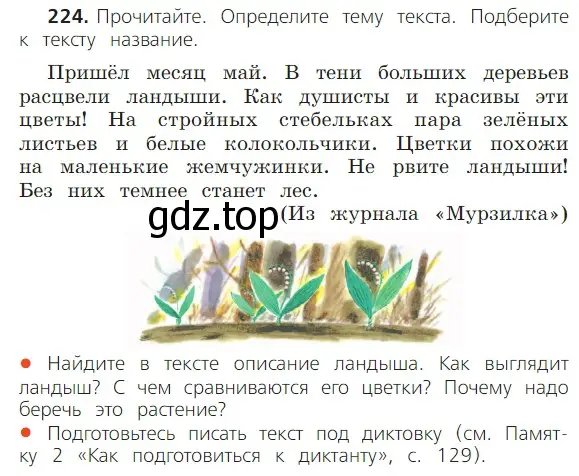 Условие номер 224 (страница 127) гдз по русскому языку 2 класс Канакина, Горецкий, учебник 2 часть