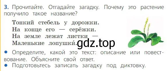 Условие номер 3 (страница 97) гдз по русскому языку 2 класс Канакина, Горецкий, учебник 2 часть