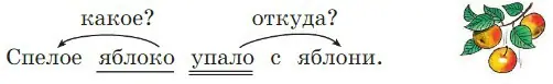 Сравнить предложения: в чём их сходство и различие?