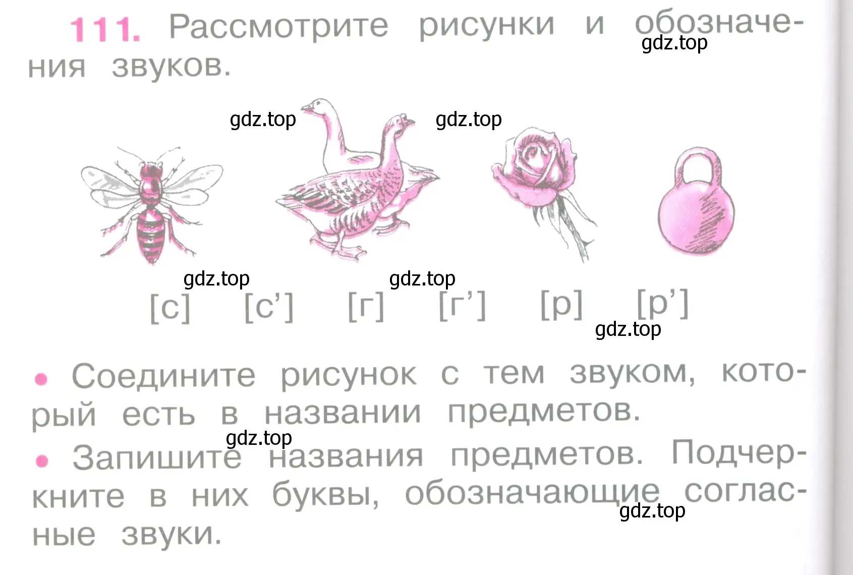 Условие номер 111 (страница 50) гдз по русскому языку 2 класс Канакина, рабочая тетрадь 1 часть