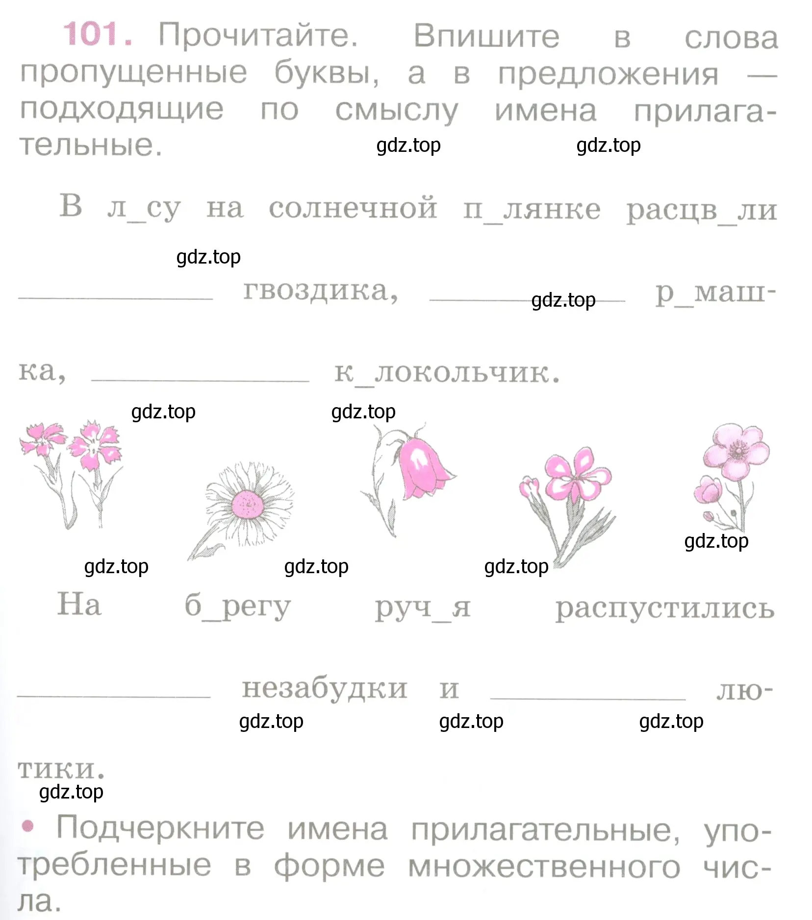 Условие номер 101 (страница 47) гдз по русскому языку 2 класс Канакина, рабочая тетрадь 2 часть