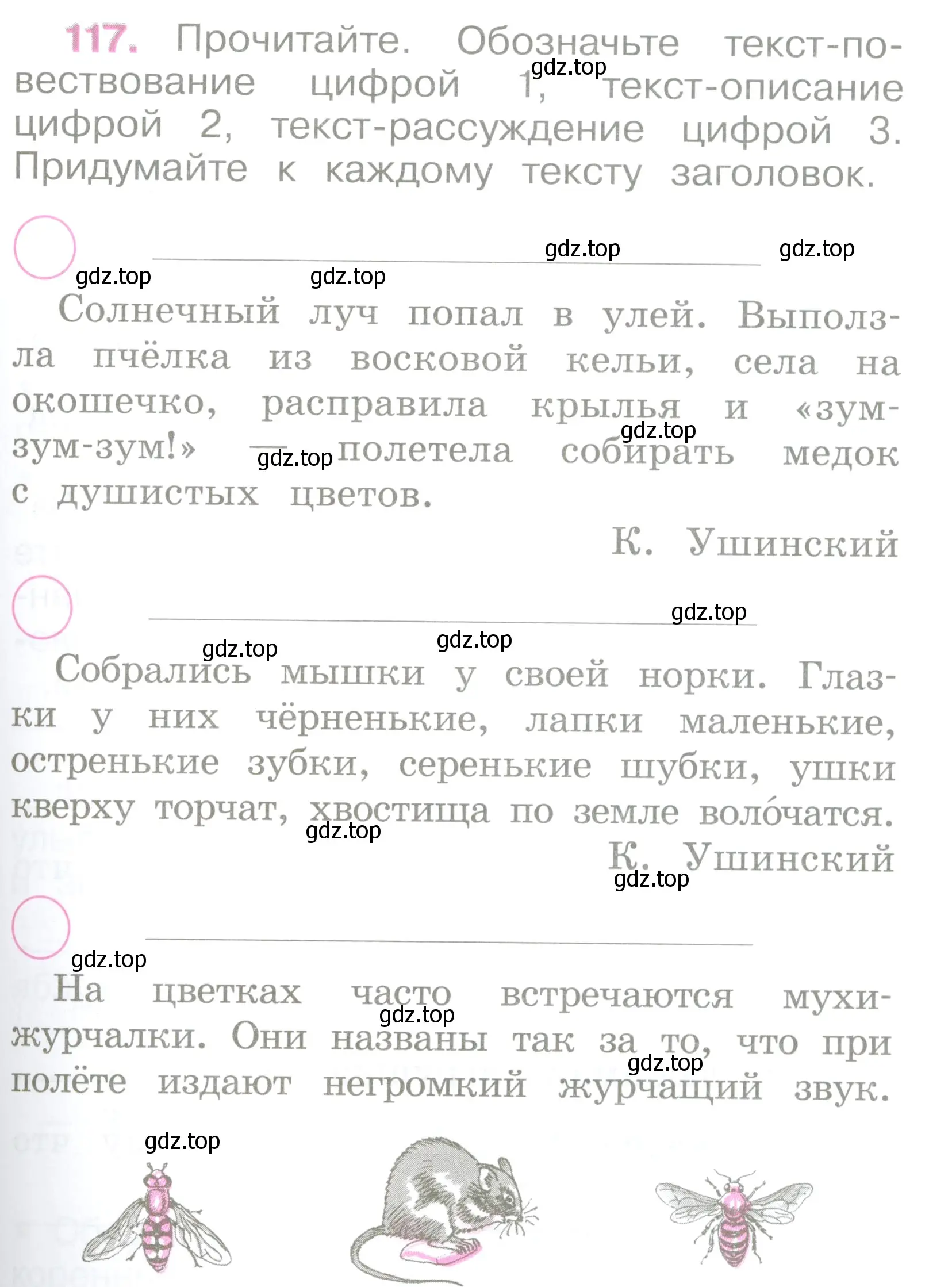 Условие  117 (страница 55) гдз по русскому языку 2 класс Канакина, рабочая тетрадь 2 часть