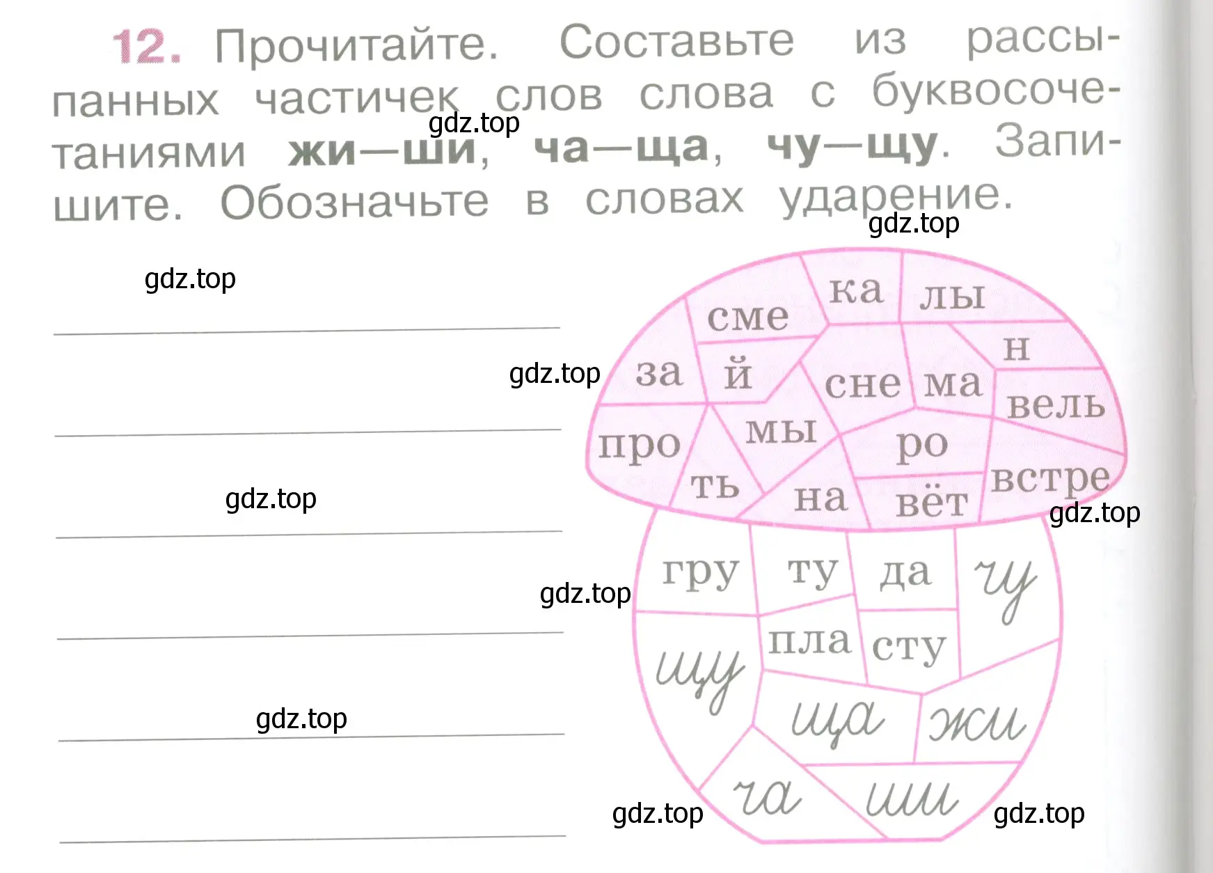 Условие номер 12 (страница 8) гдз по русскому языку 2 класс Канакина, рабочая тетрадь 2 часть