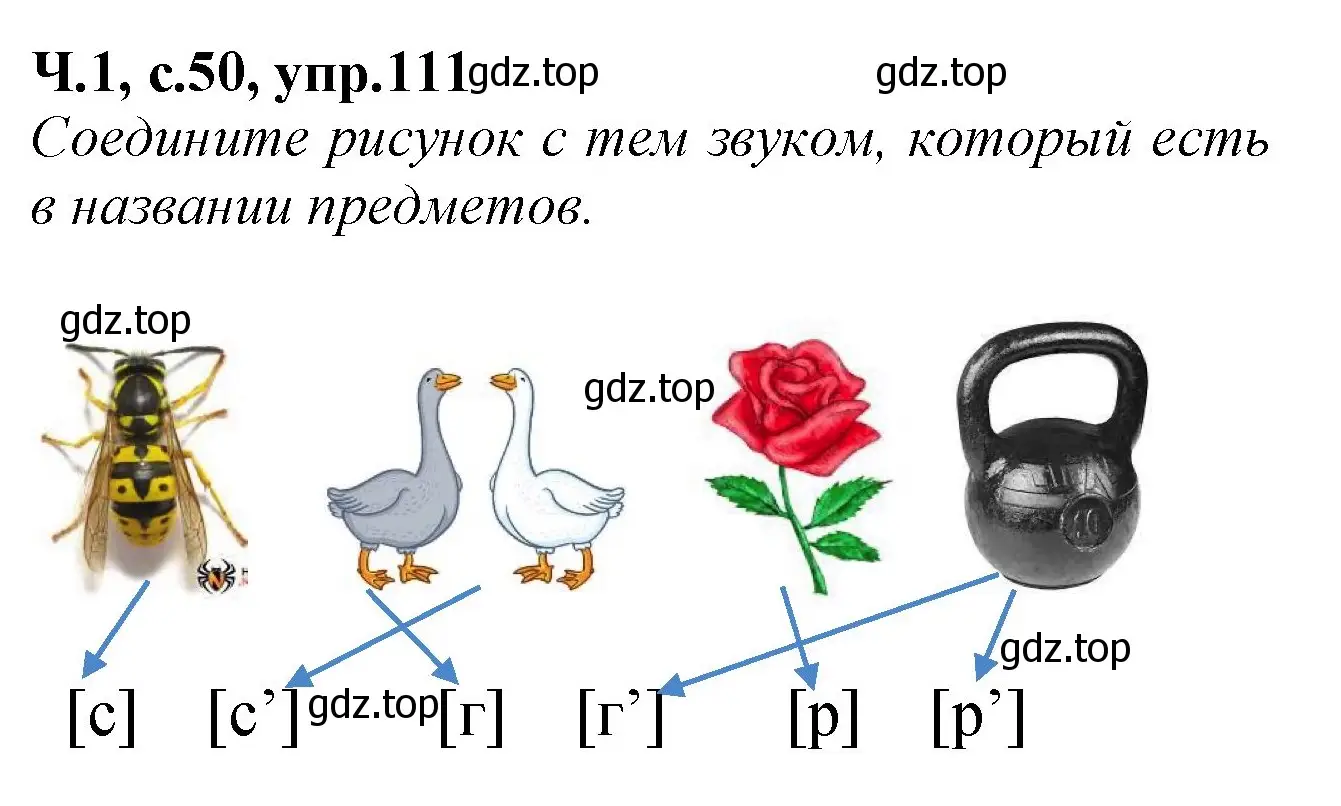 Решение номер 111 (страница 50) гдз по русскому языку 2 класс Канакина, рабочая тетрадь 1 часть