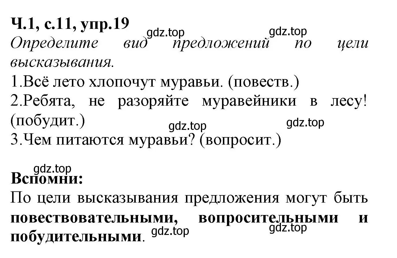 Решение номер 19 (страница 11) гдз по русскому языку 2 класс Канакина, рабочая тетрадь 1 часть