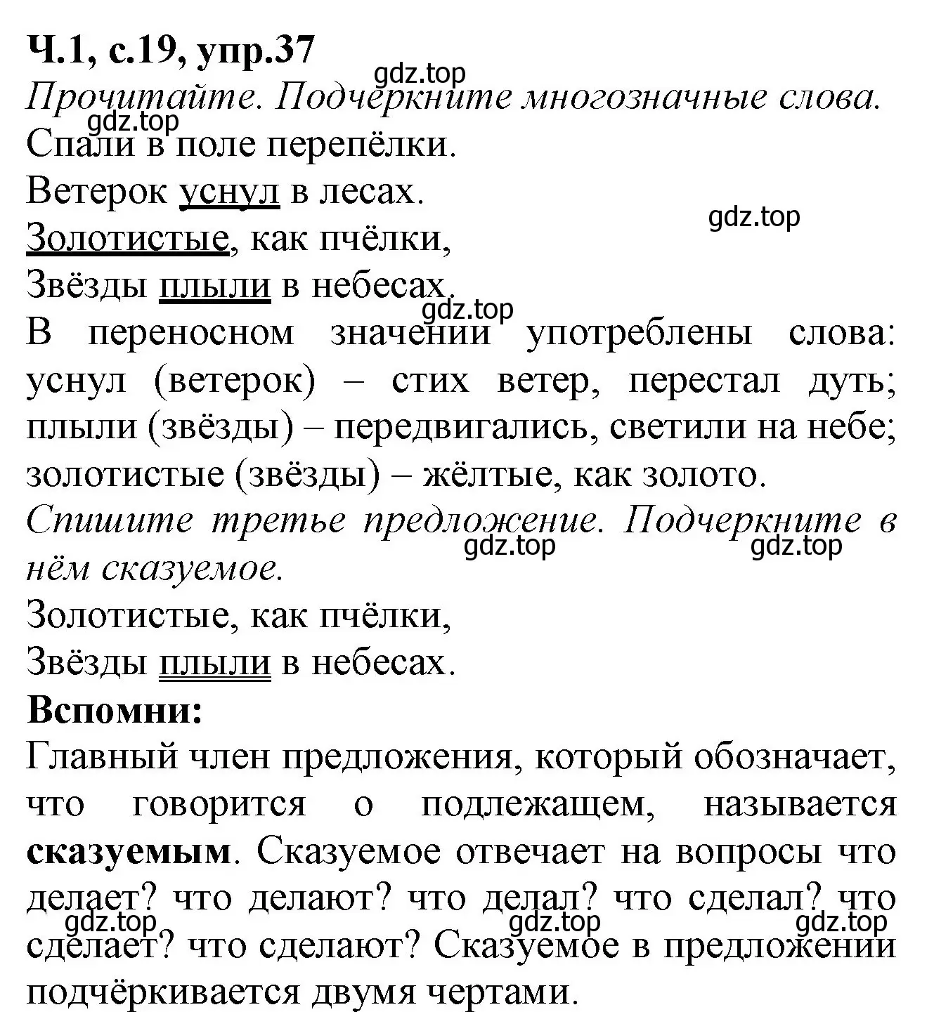 Решение номер 37 (страница 19) гдз по русскому языку 2 класс Канакина, рабочая тетрадь 1 часть