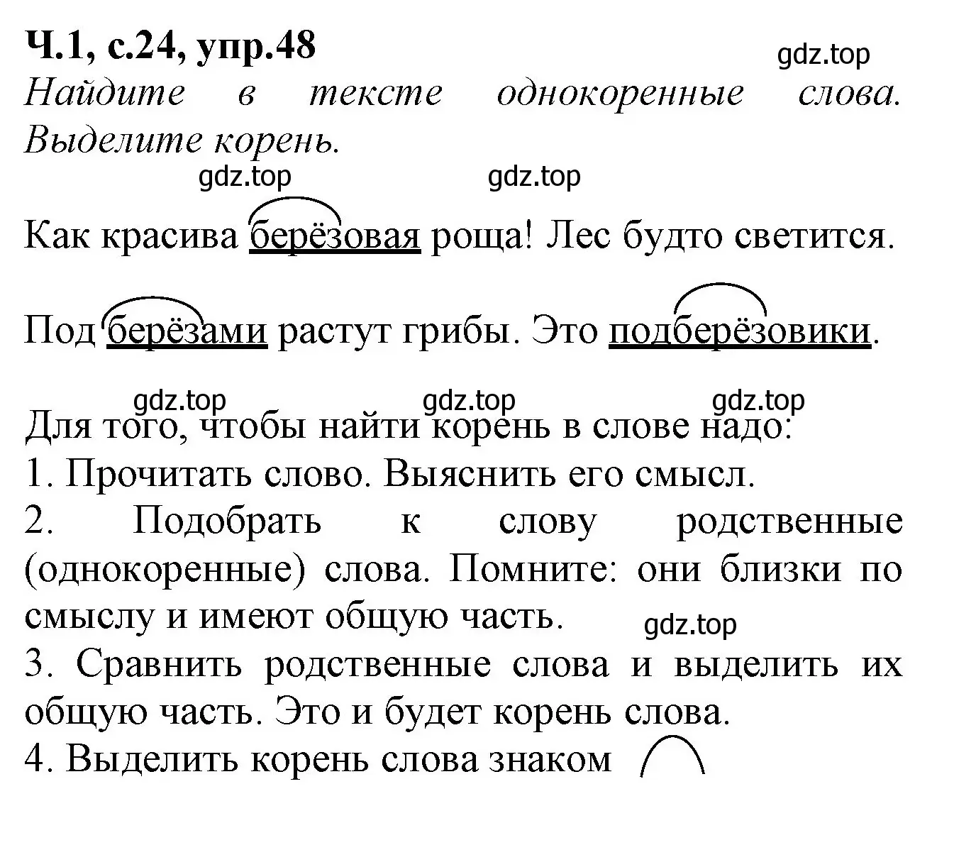 Решение номер 48 (страница 24) гдз по русскому языку 2 класс Канакина, рабочая тетрадь 1 часть