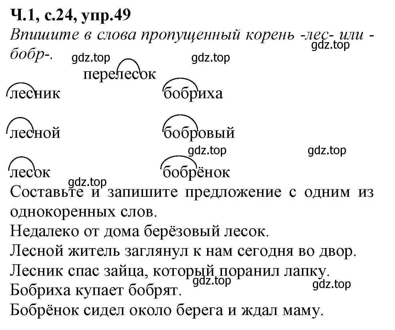 Решение номер 49 (страница 24) гдз по русскому языку 2 класс Канакина, рабочая тетрадь 1 часть