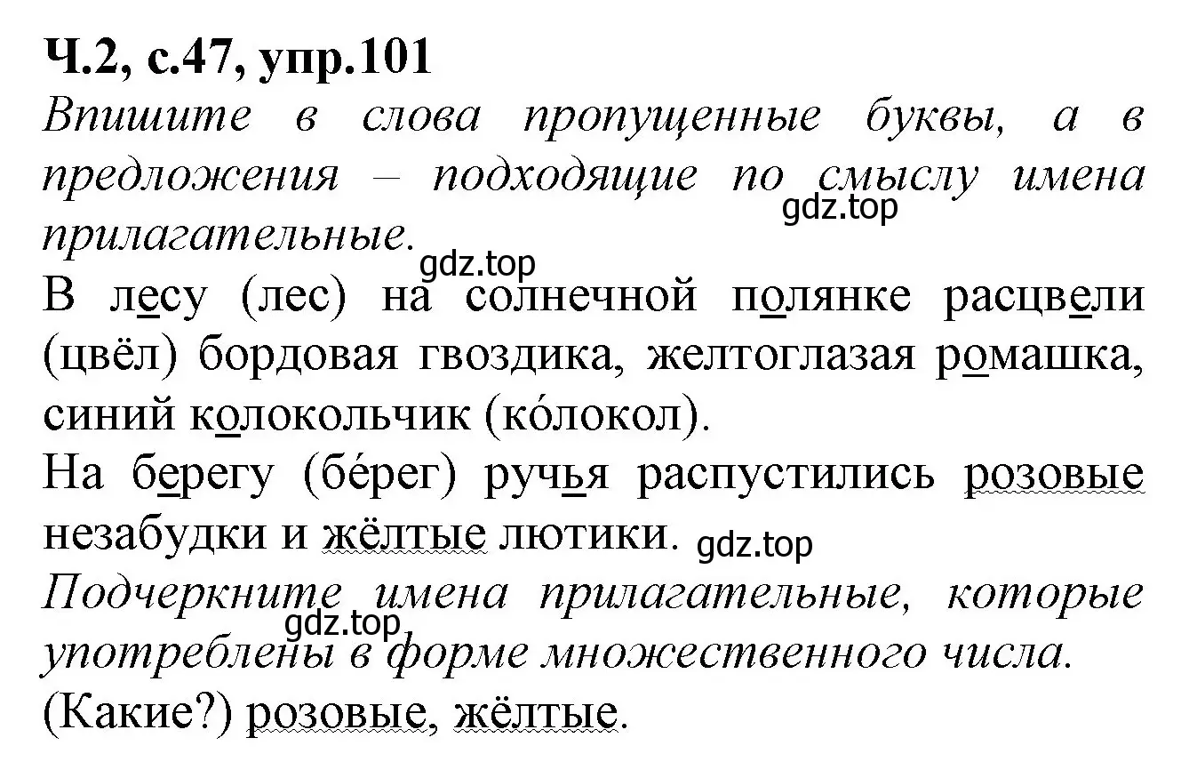 Решение номер 101 (страница 47) гдз по русскому языку 2 класс Канакина, рабочая тетрадь 2 часть
