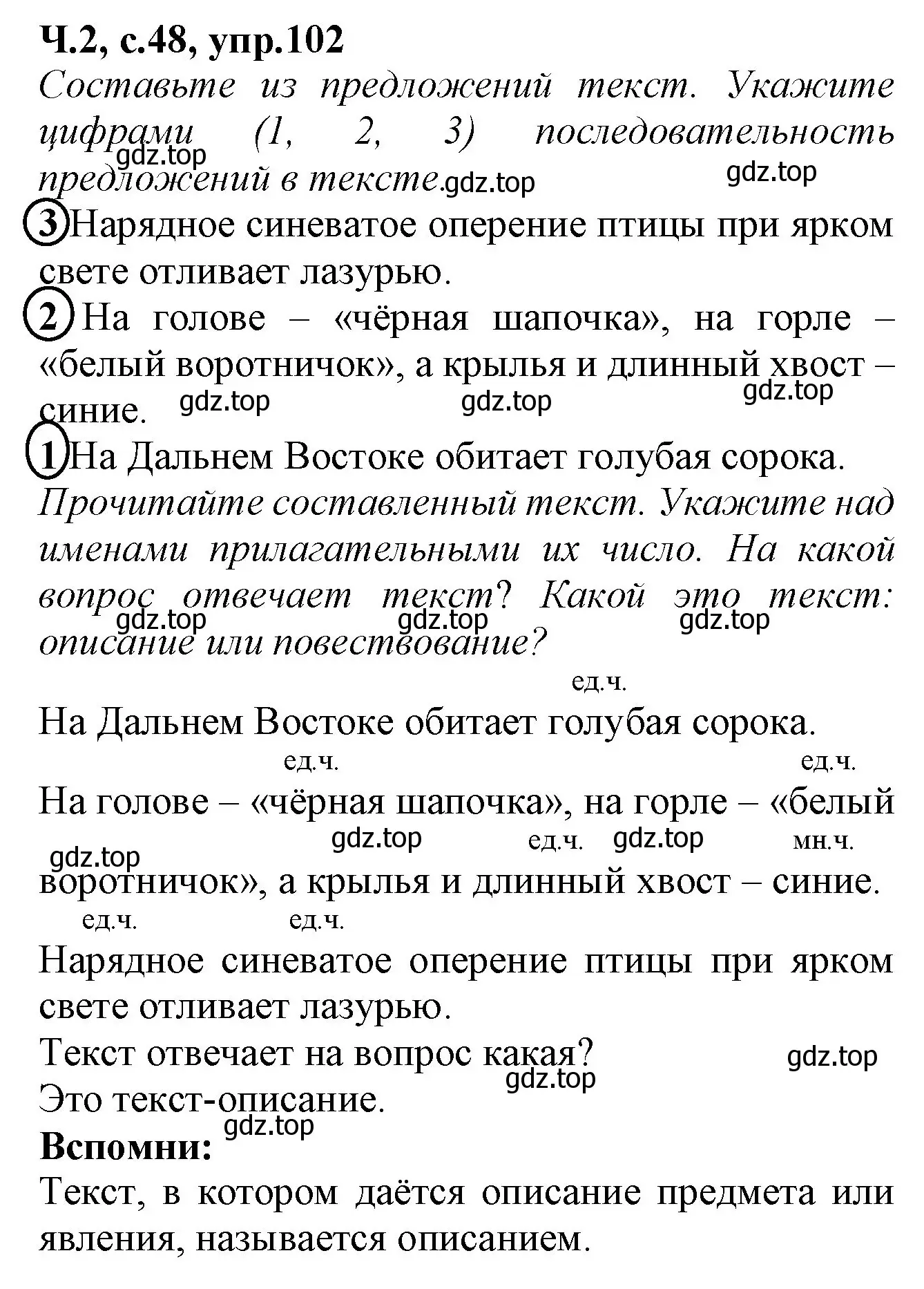 Решение номер 102 (страница 48) гдз по русскому языку 2 класс Канакина, рабочая тетрадь 2 часть