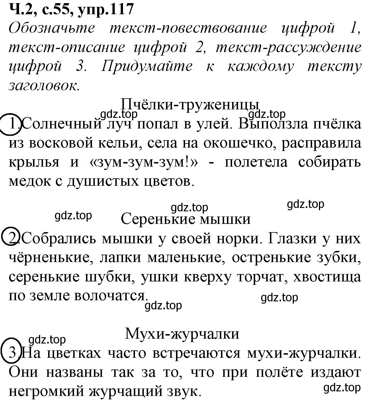 Решение  117 (страница 55) гдз по русскому языку 2 класс Канакина, рабочая тетрадь 2 часть