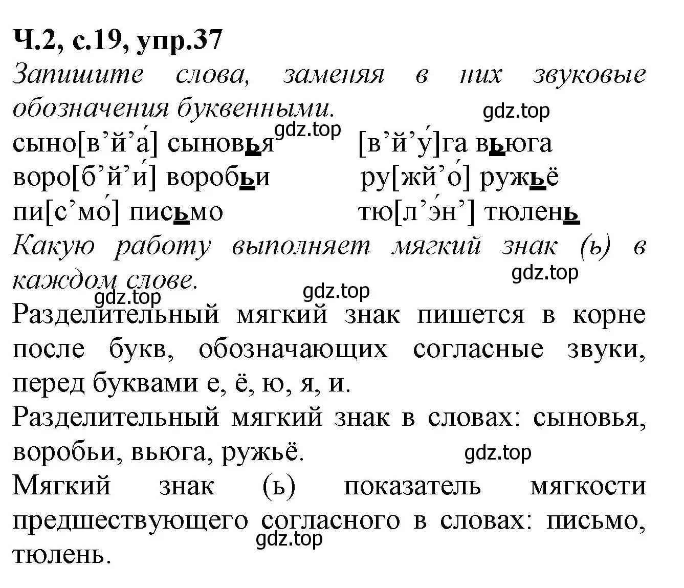 Решение номер 37 (страница 19) гдз по русскому языку 2 класс Канакина, рабочая тетрадь 2 часть
